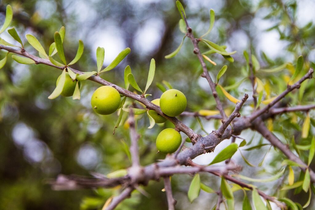 tree, plugged, nature-3165279.jpg